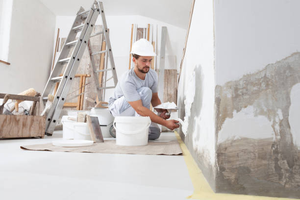 Best Commercial Painting  in Plainfield, IL