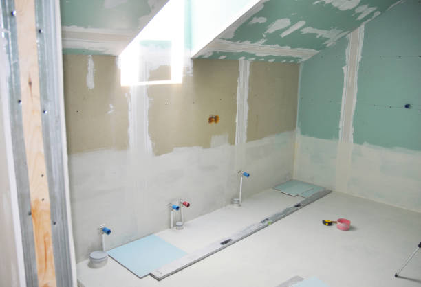 Best Water-Damaged Drywall Repair  in Plainfield, IL