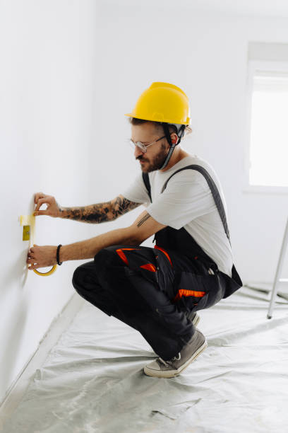 Best Drywall Crack Repair  in Plainfield, IL