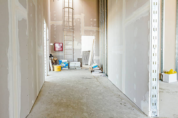 Best Drywall Removal and Disposal  in Plainfield, IL