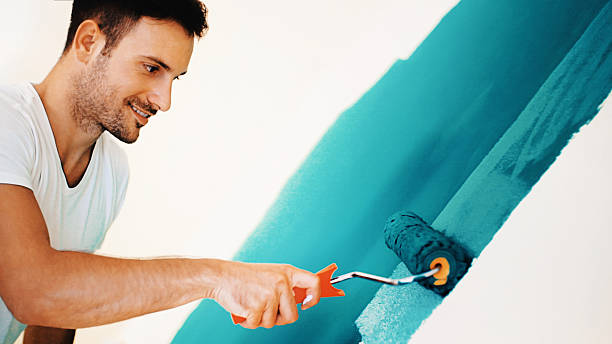 Best Repainting for Renovations  in Plainfield, IL